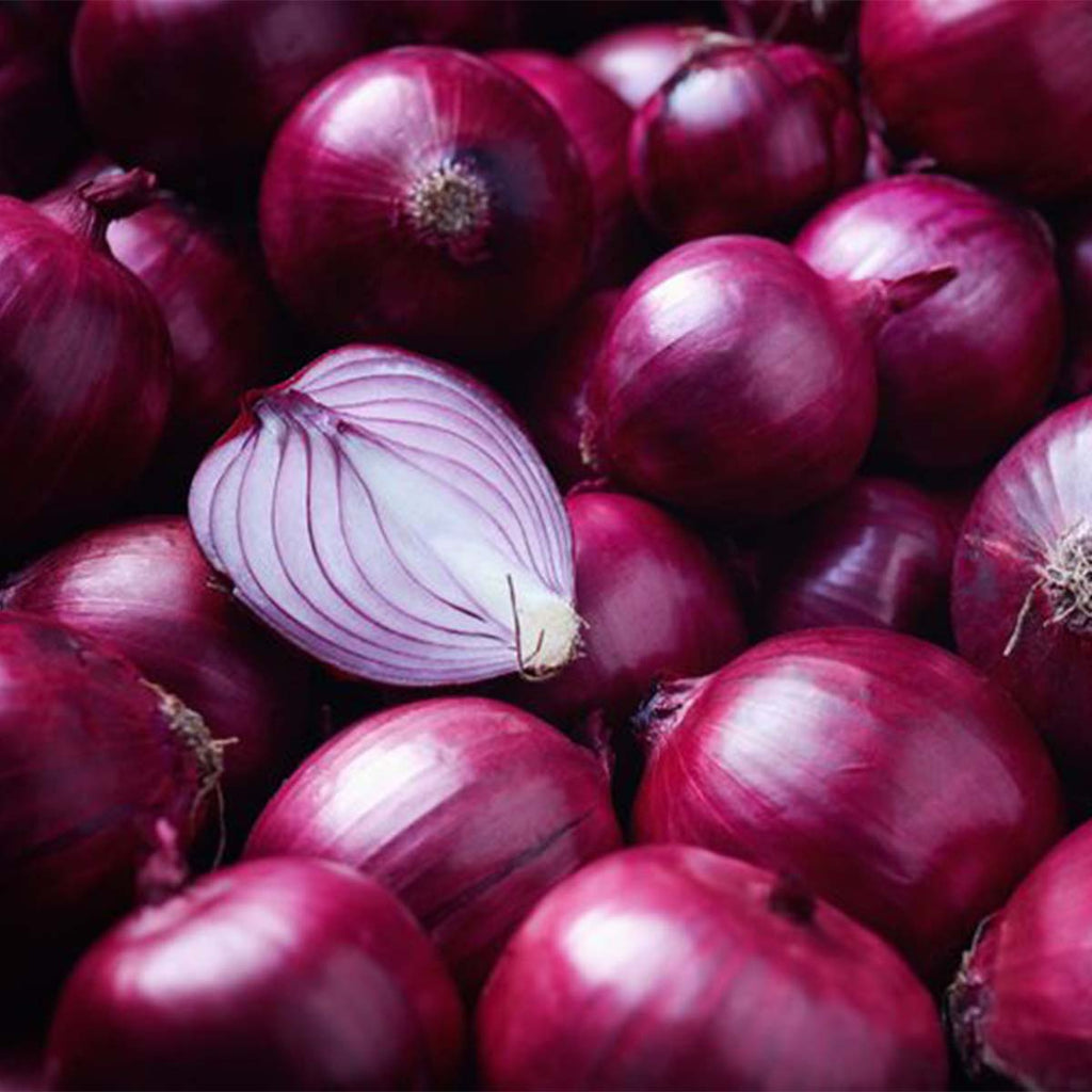 Easy Natural Dyeing at Home with Onions